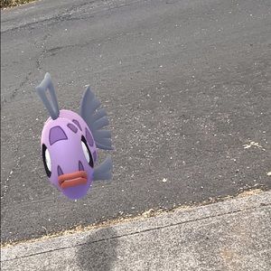 Meet your Posher, Altay